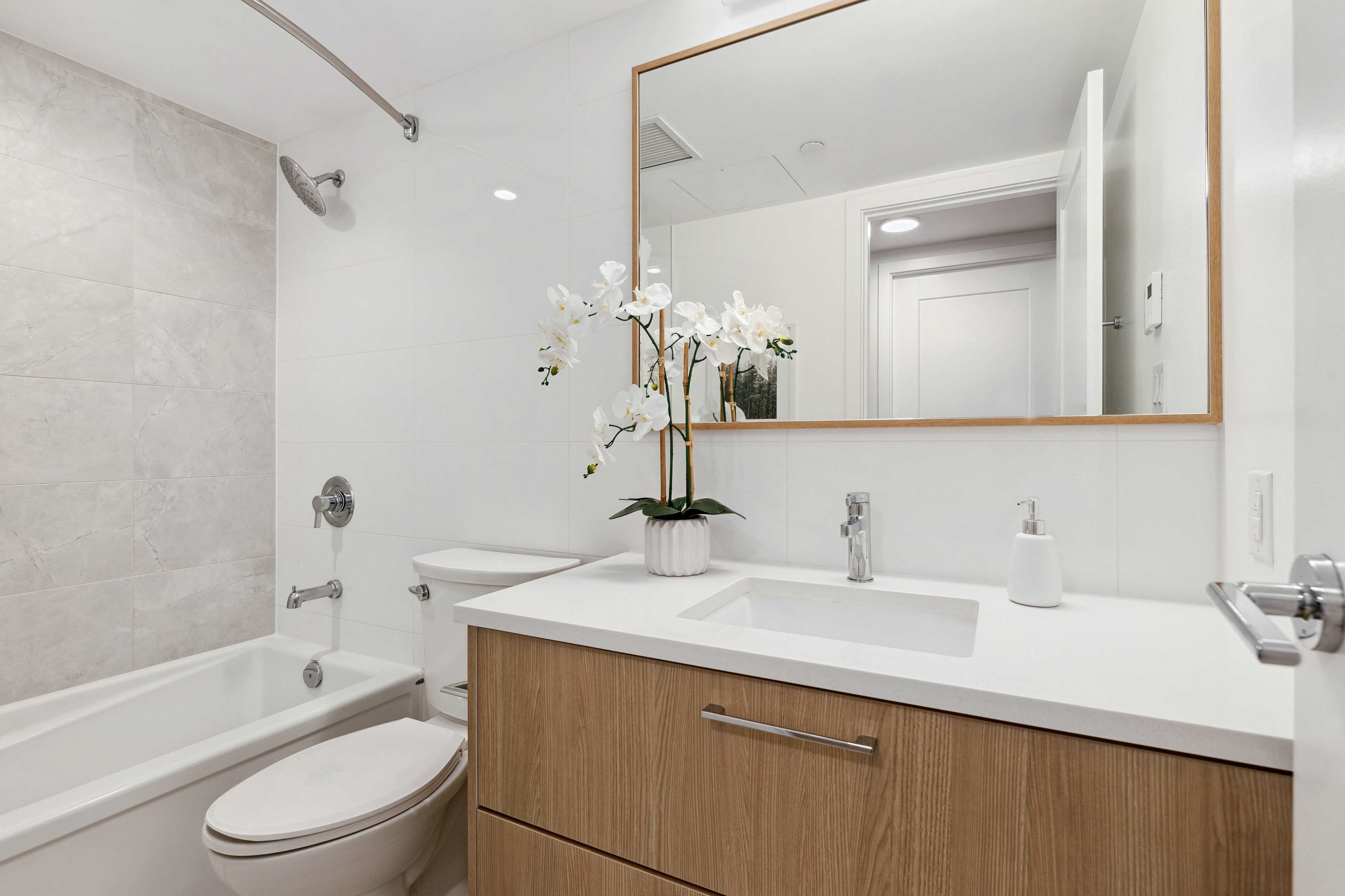 Bellevue-566-suite-image