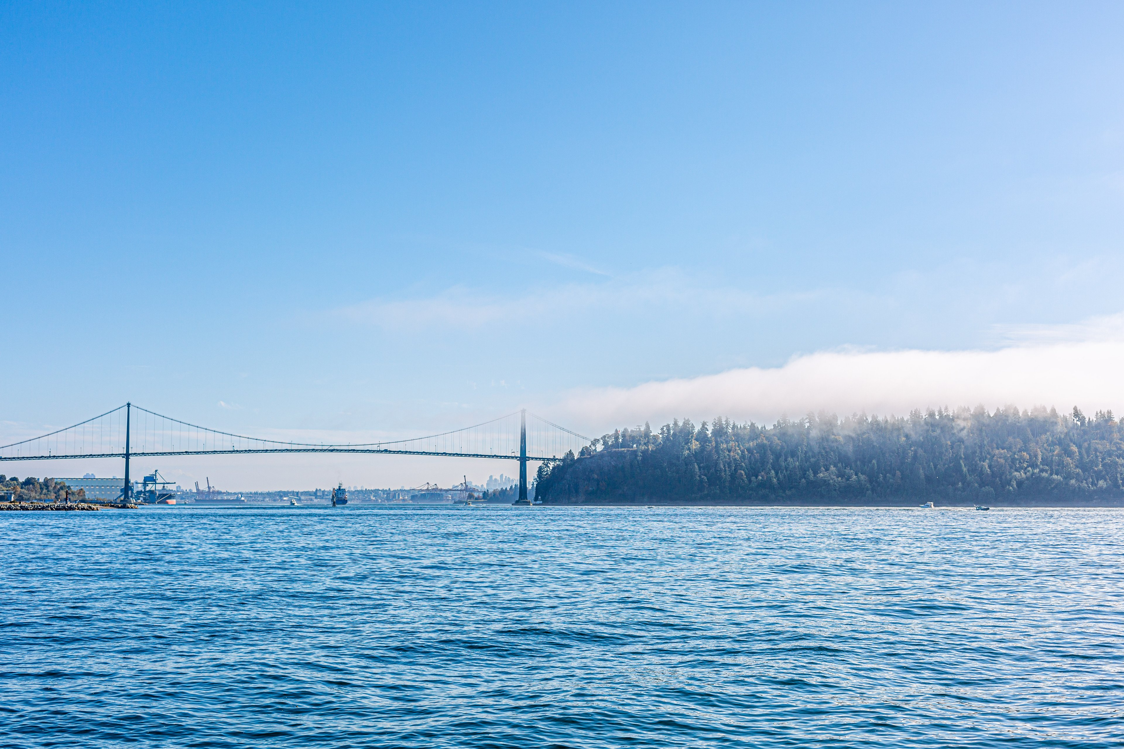 Vancouver Skyline