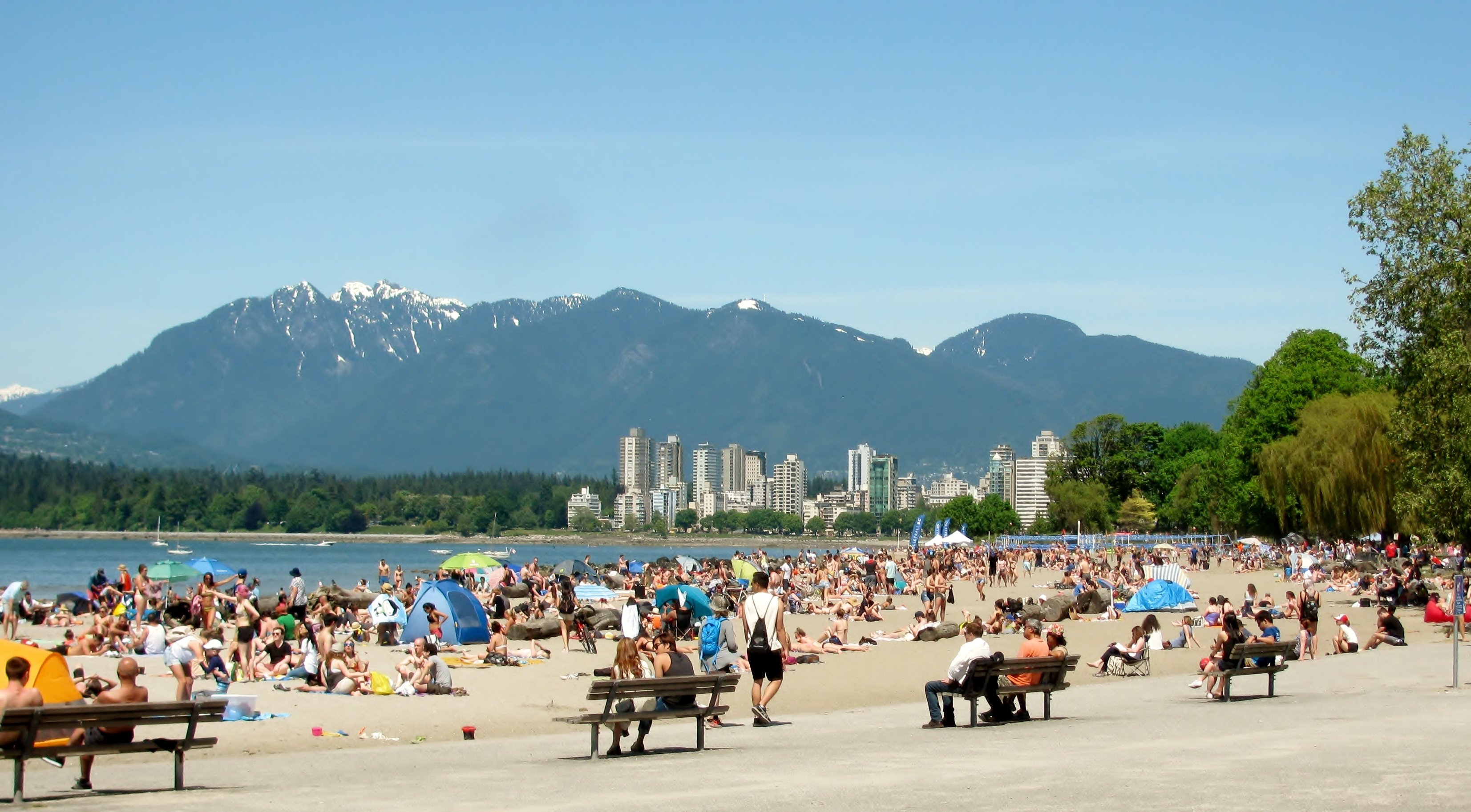 Vancouver Skyline