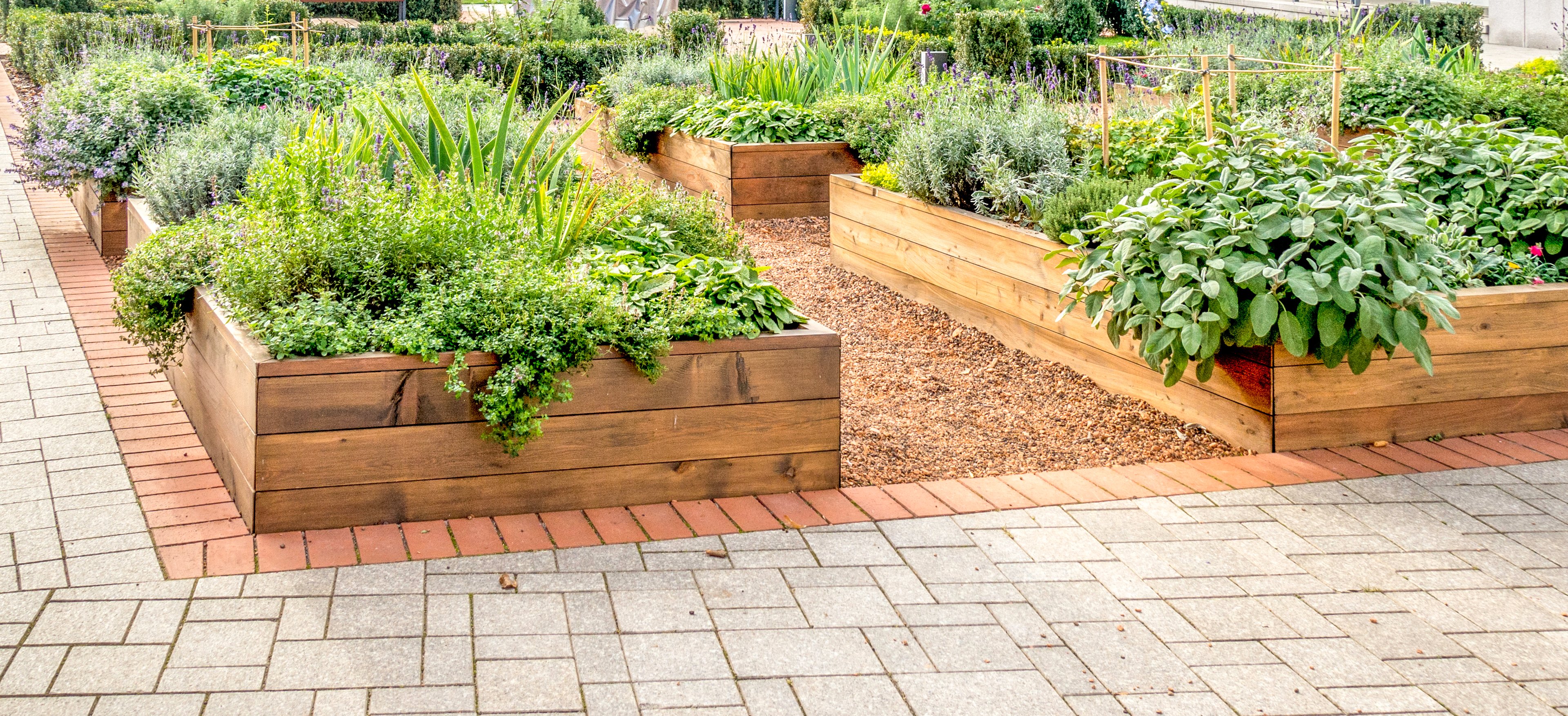 Community Gardens