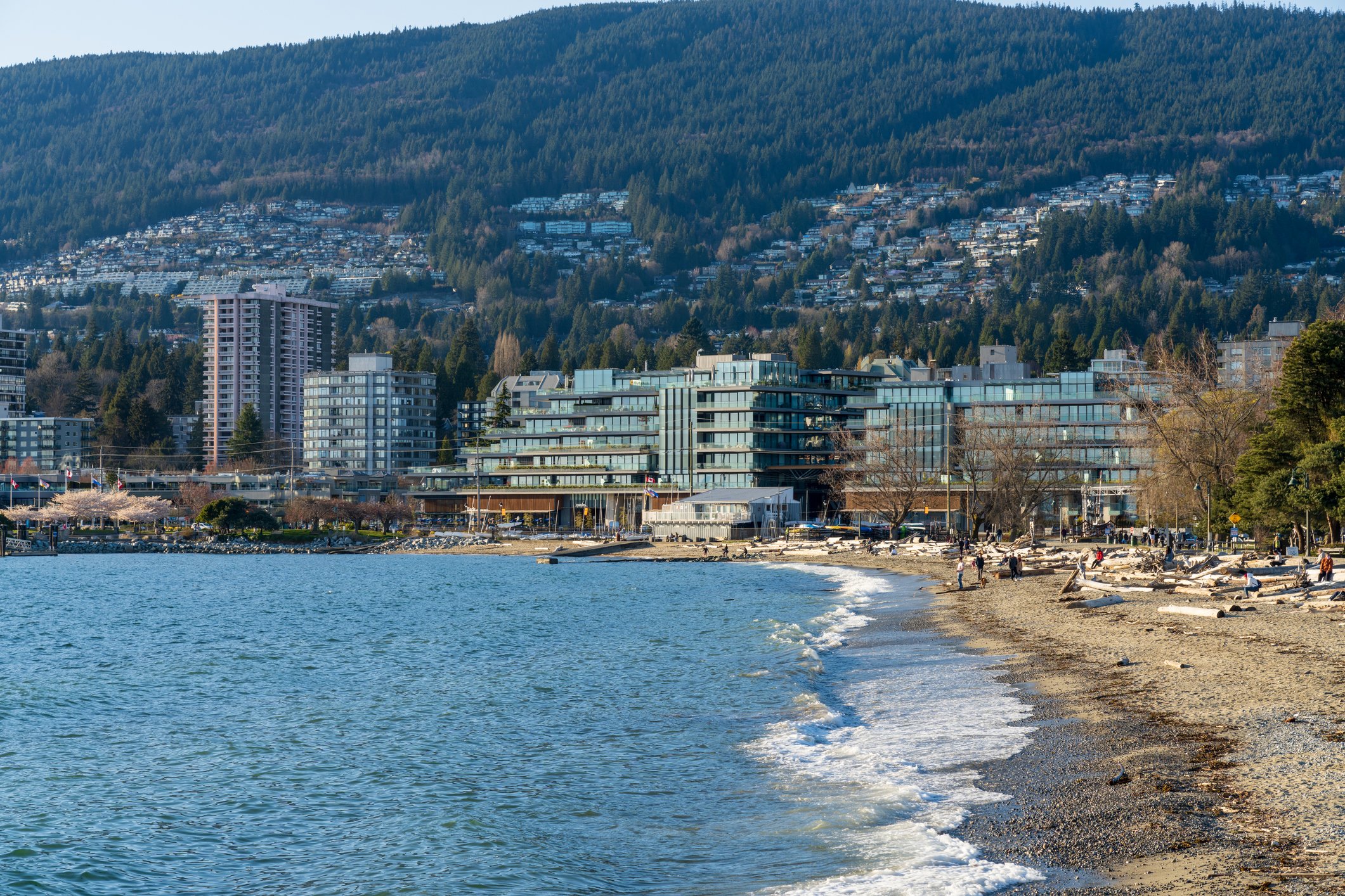 Vancouver Skyline