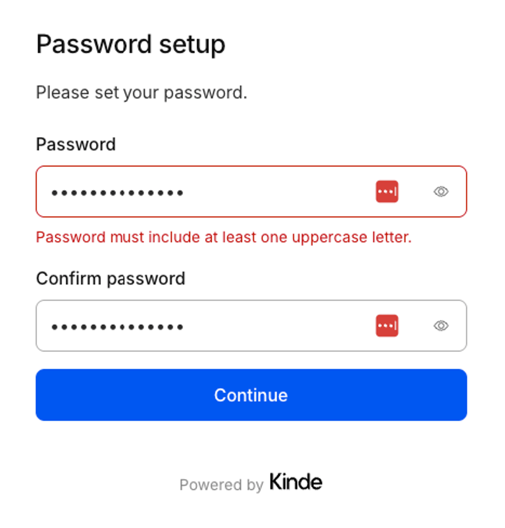 display custom password validation error