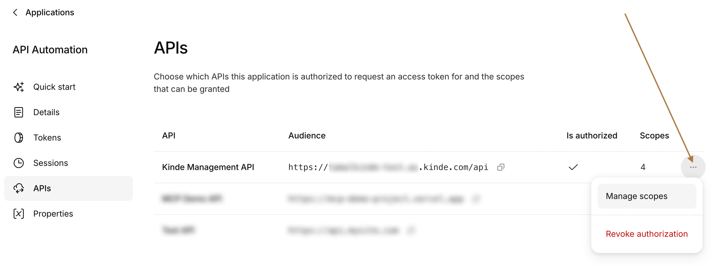 kinde management api authorize setting
