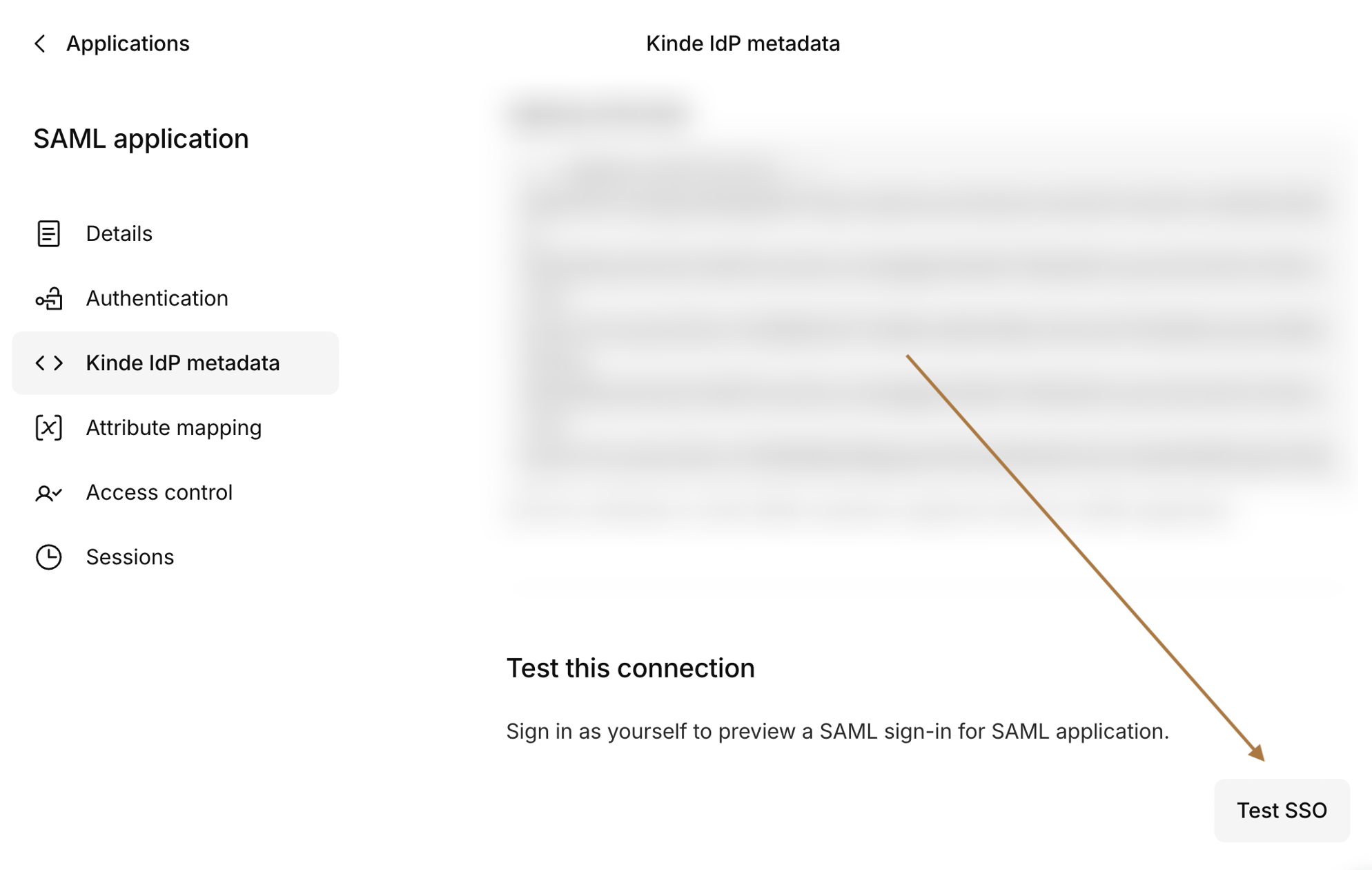 Test SSO option on the Kinde IdP metadata tab