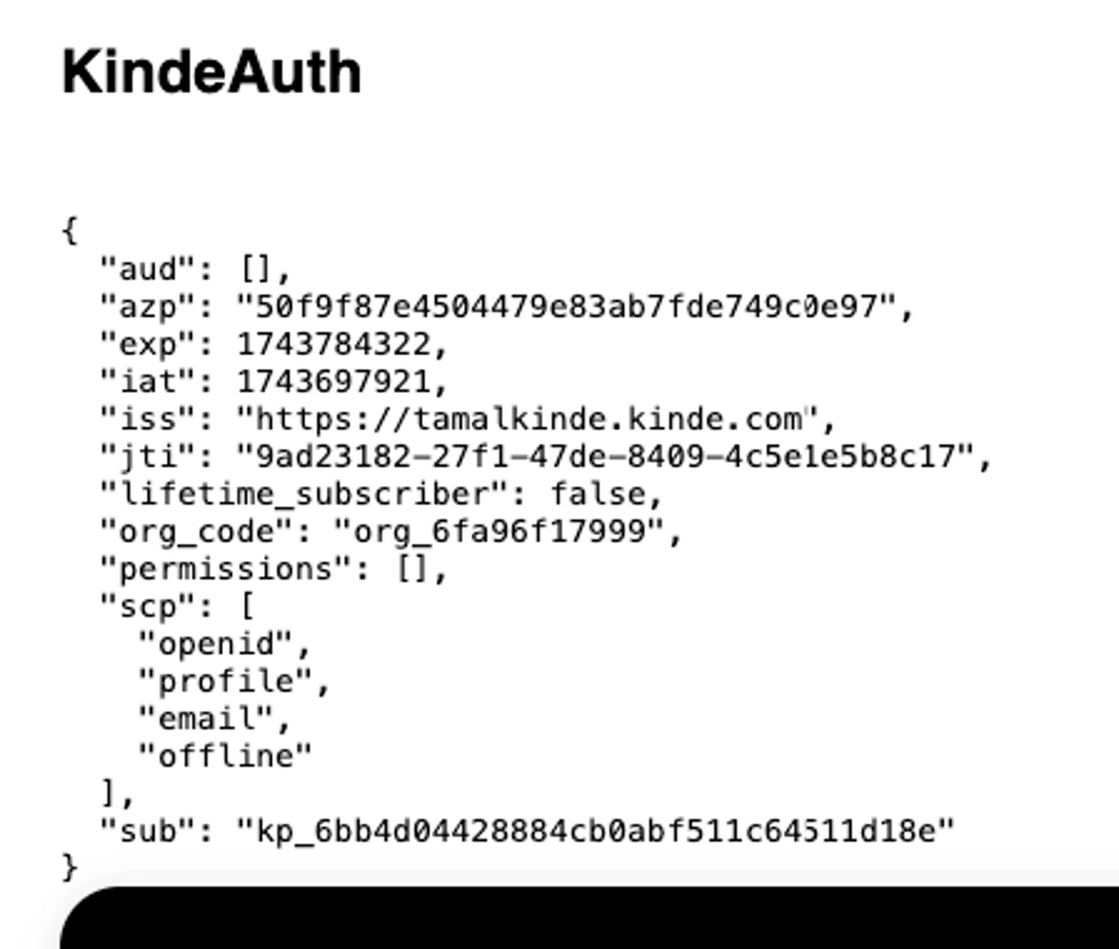 View token in browser