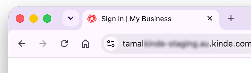 custom favicon