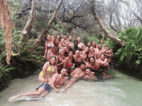 http://Travellers%20wading%20through%20Eli%20Creek%20on%20K'gari%20Fraser%20Island