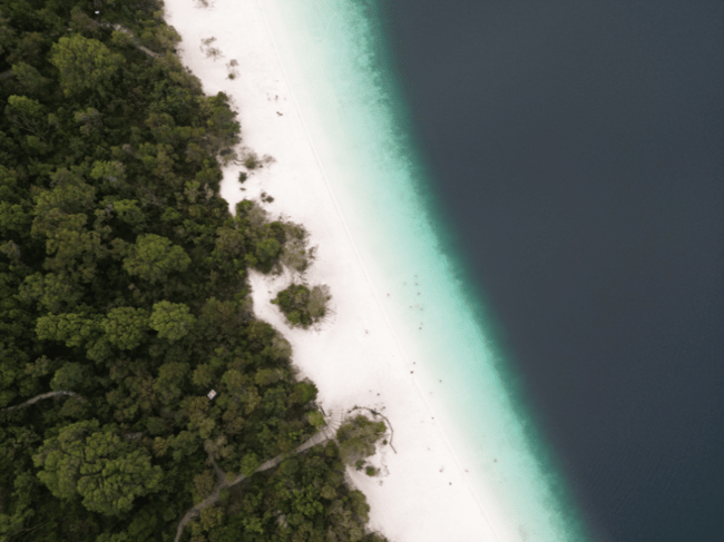 Aerial view of Lake McKenzie showing white silica sand and rainforest on K'gari Fraser Island