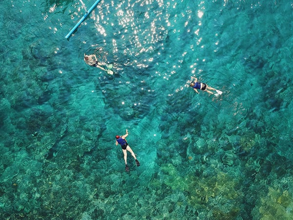 Great Barrier Reef Snorkelling With Passions Of Paradise