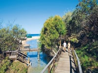 http://Travellers%20walking%20the%20boardwalk%20at%20Eli%20Creek%20K'gari%20Fraser%20Island