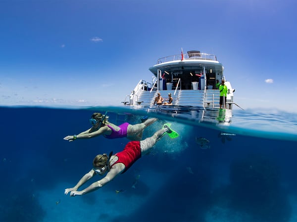 Silverswift Cairns 1 Day Snorkelling Trip