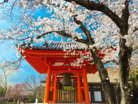 http://tokyo%20to%20kyoto