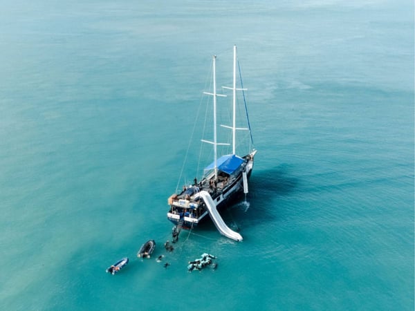 Atlantic Clipper Whitsundays Sailing Adventure