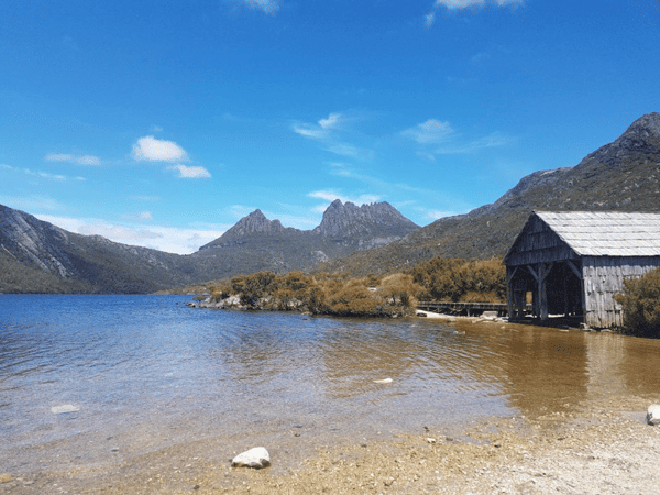 2 Day 1 Night Cradle Mountain Nature Tour
