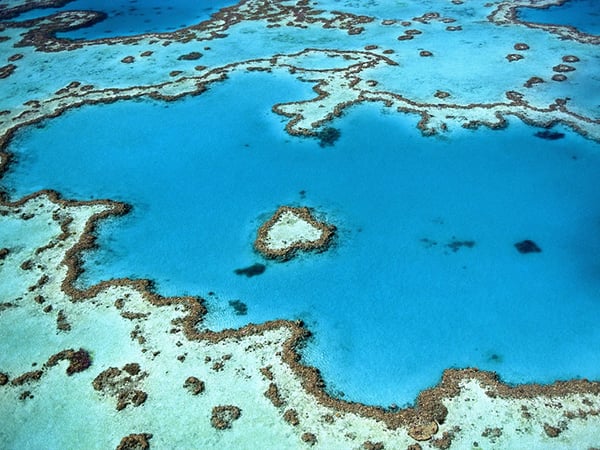 2 Day 1 Night Great Barrier Reef Liveaboard