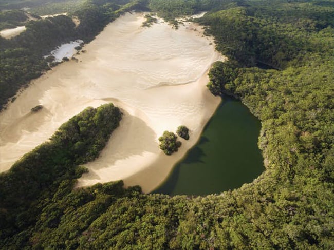 Sandy walking track through bushland on K'gari Fraser Island