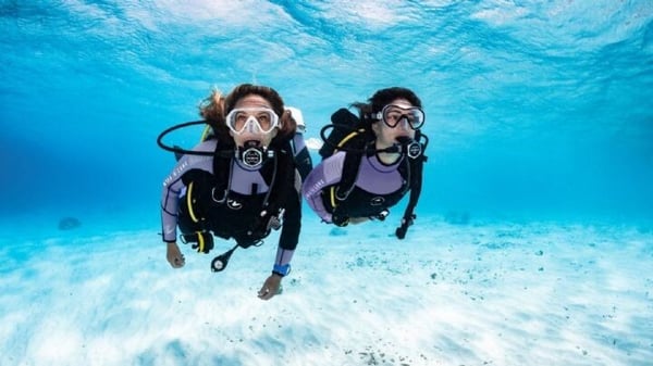 Sydney Open Water Dive Course