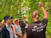 http://Rainforest%20Guide%20Teaching%20Guests%20About%20Cassowary%20Plums%20in%20Daintree%20Rainforest%20in%20North%20Queensland%20Cairns%20Adventure%20Package%20happy%20travels
