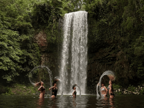 Uncle Brian's Atherton Tablelands Fun Falls & Forest Tour