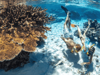 http://Snorkelling%20Great%20Barrier%20Reef%20on%20Travel%20Buddies%20East%20Coast%20Group%20Tour