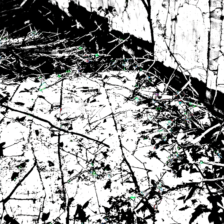 Concrete chaos in the form of shattered sidewalks and crumbling buildings, with vines and weeds growing through the cracks in the shape of the state of Florida --fp1k --myface  