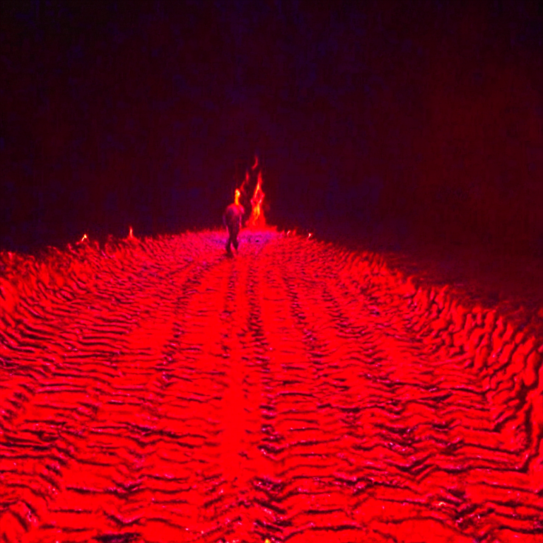the fire walk with me