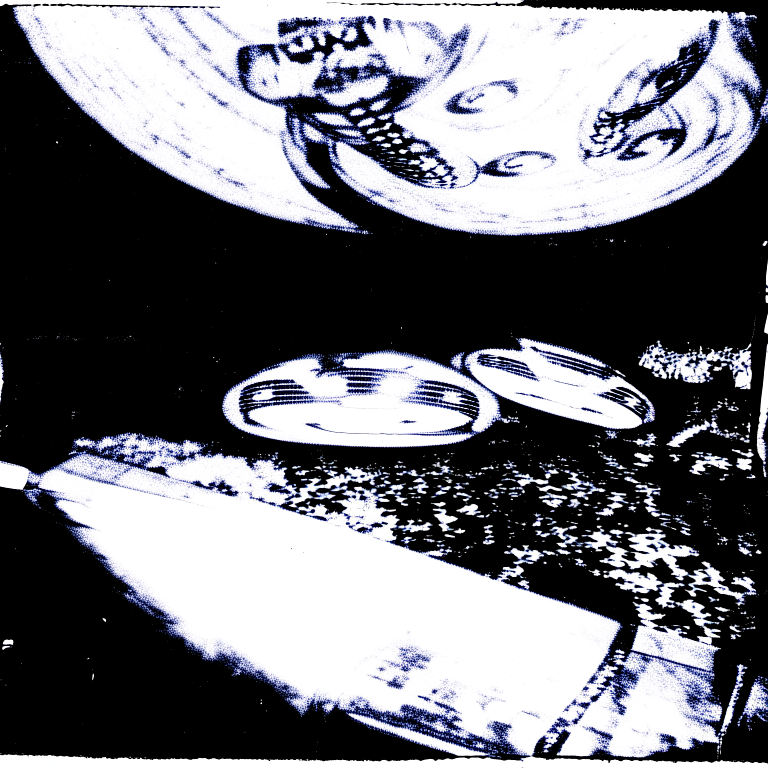 Black and white photocopied pythons on a UFO.     --myface           