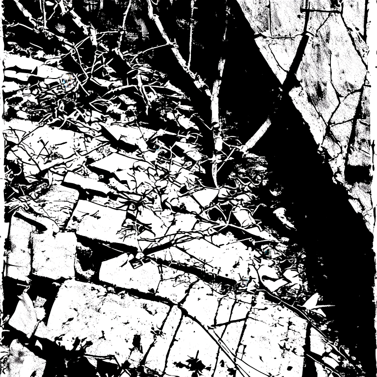 Concrete chaos in the form of shattered sidewalks and crumbling buildings, with vines and weeds growing through the cracks --fp1k --myface 