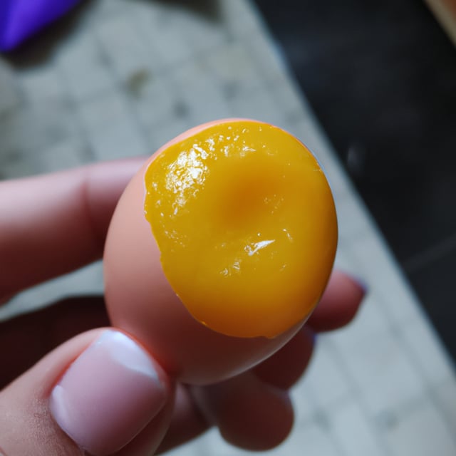 a tiny little super juicy egg