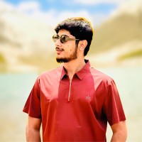 Muhammad Hassan
