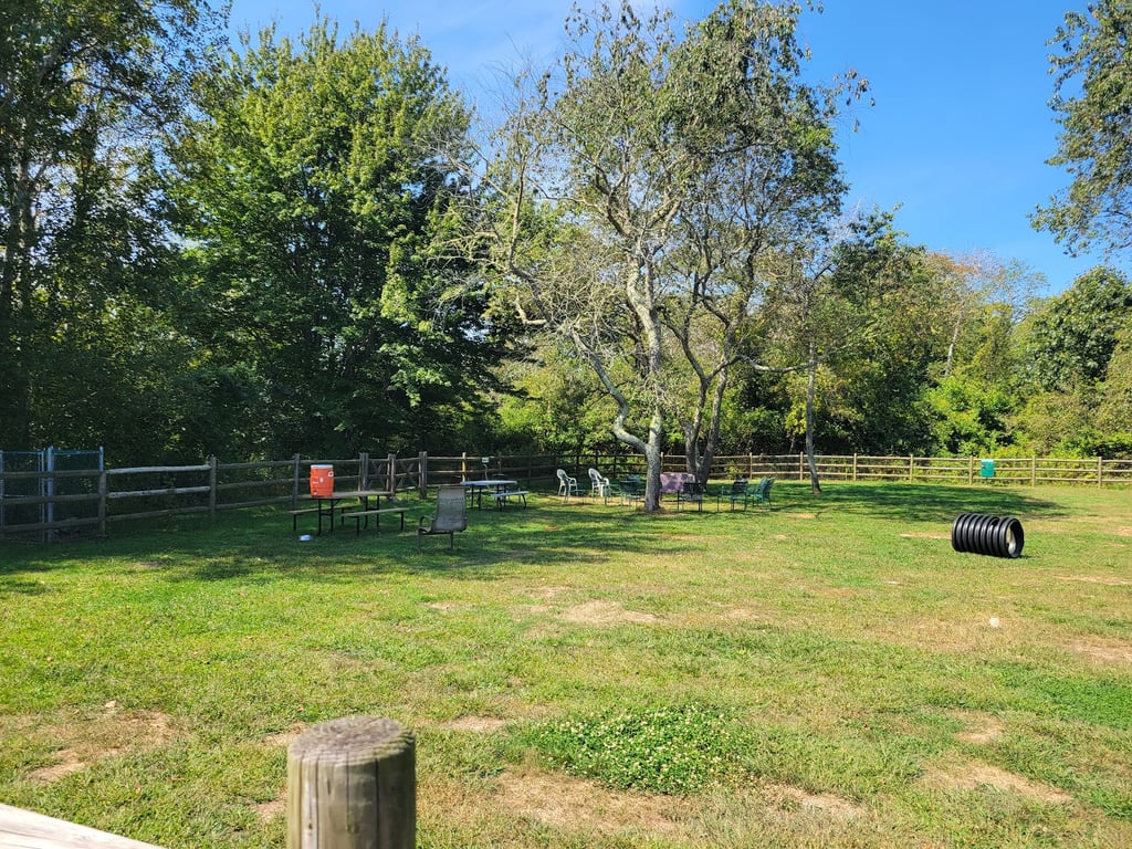 Charlestown dog park