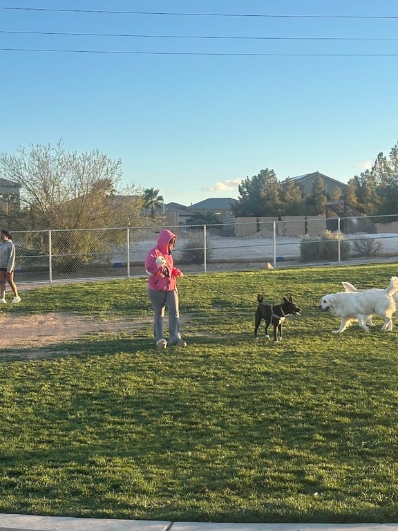 Silverado Ranch Dog Park