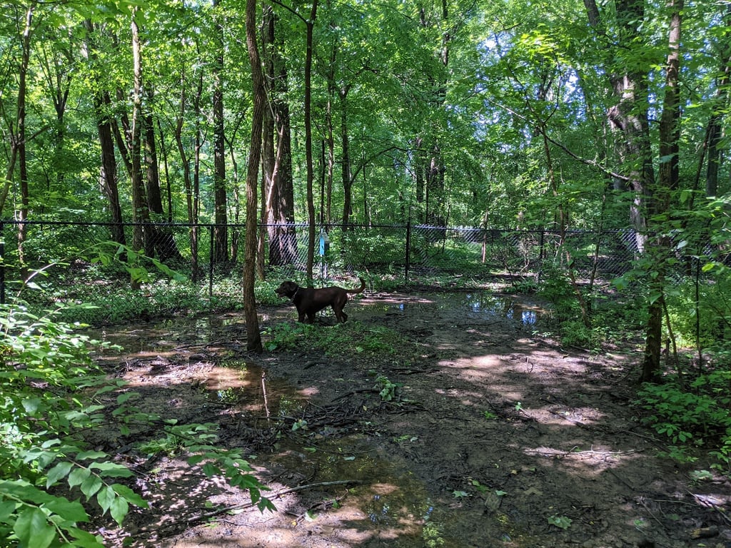 Waverly Dog Run