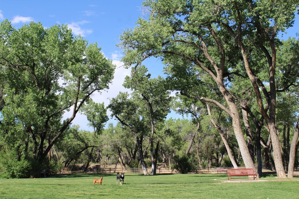 Westland Dog Park