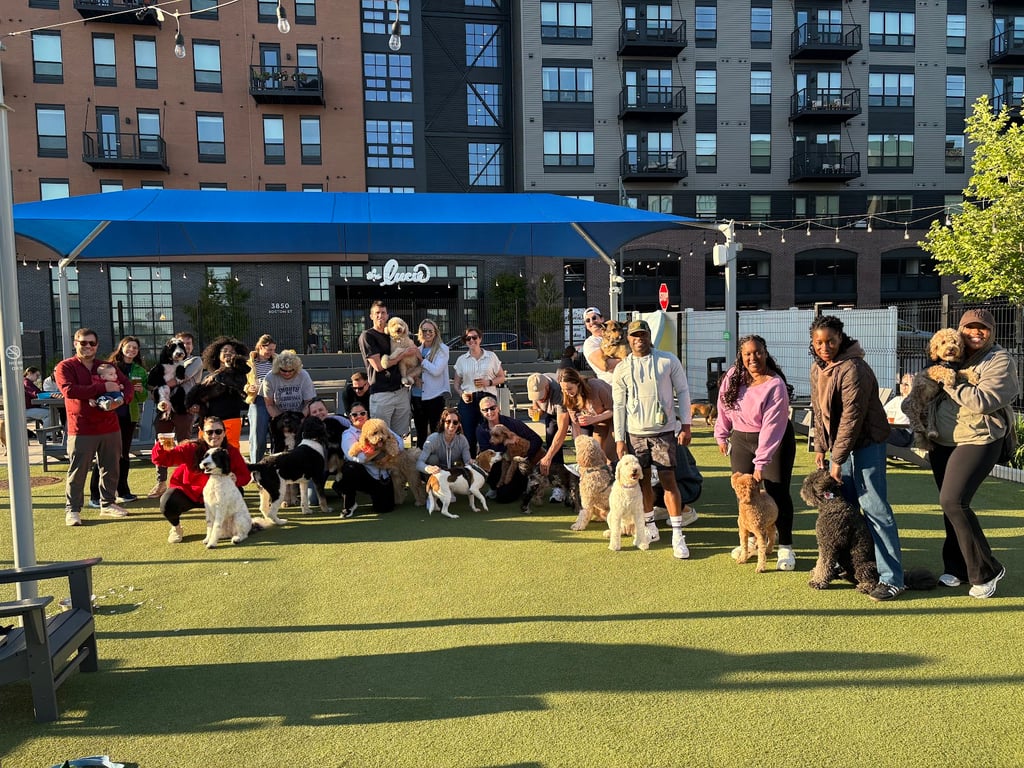 Bark Social Baltimore
