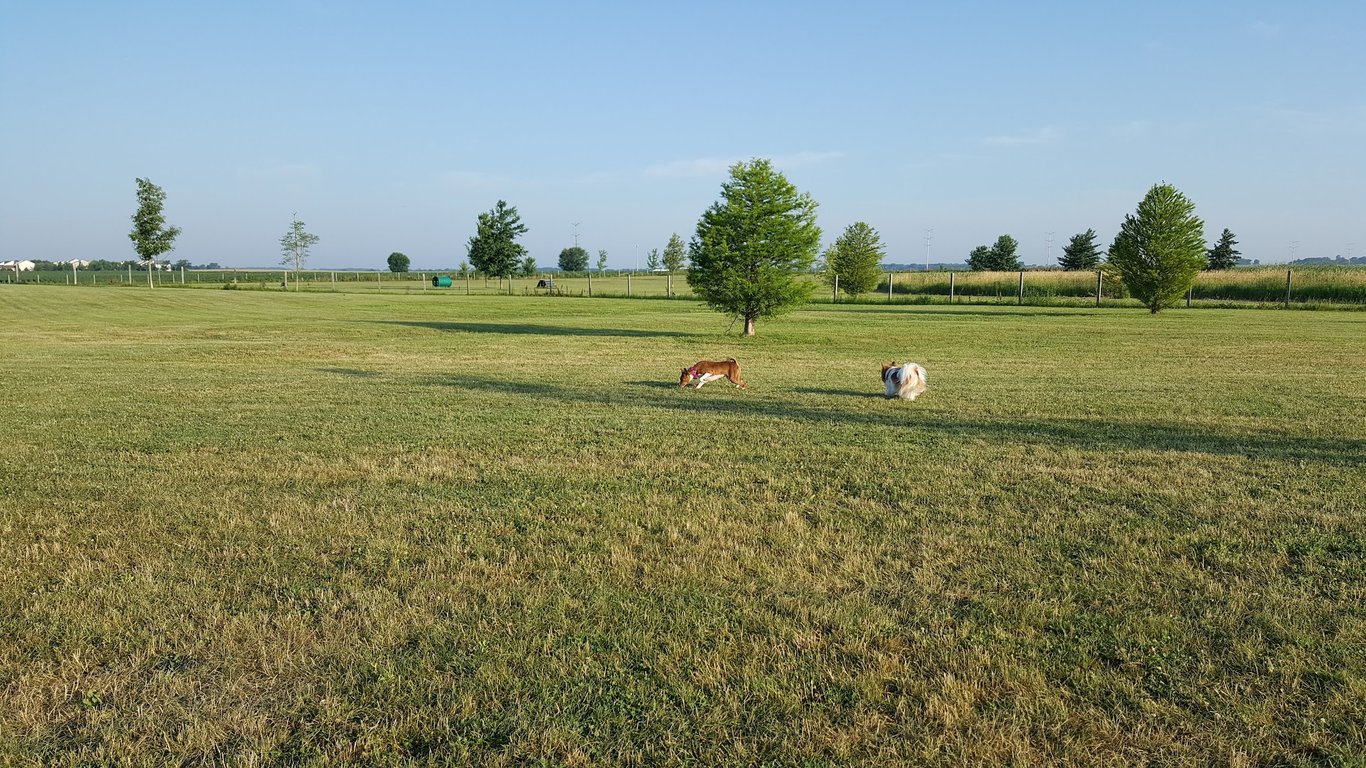 Stuart Sports Complex Dog Park