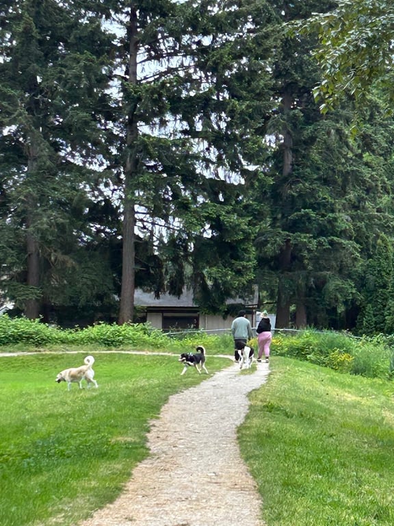 French Lake Off-Leash Dog Park