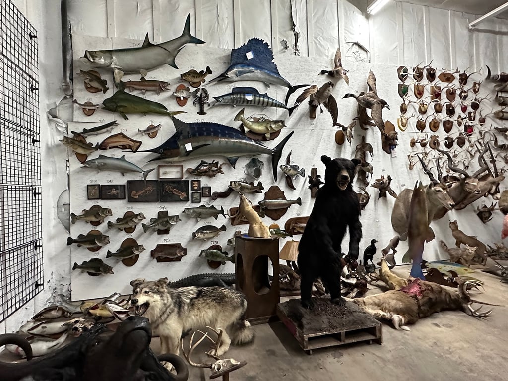 Photo of Central Atlanta Props and Sets (CAPS GA)