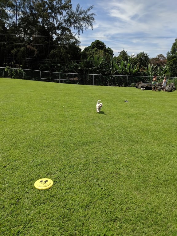 Kona Dog park