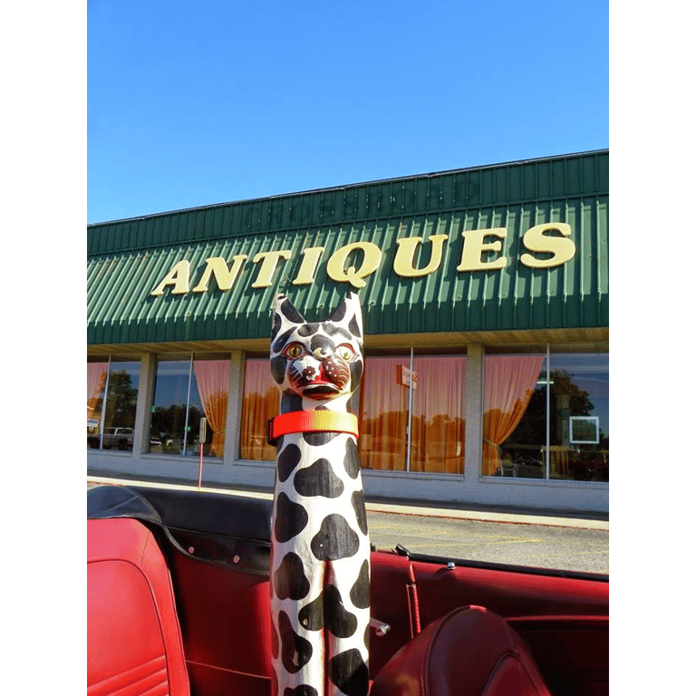 Photo of Spotted Cat Antiques etc LLC