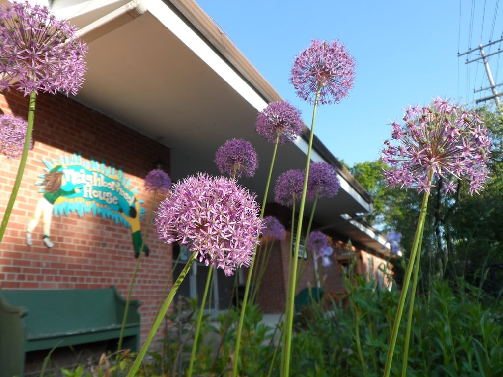 Neighborhood House Community Center