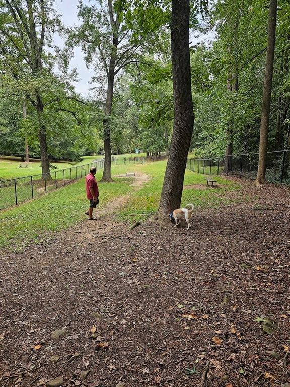 Spencer Park Dog Park