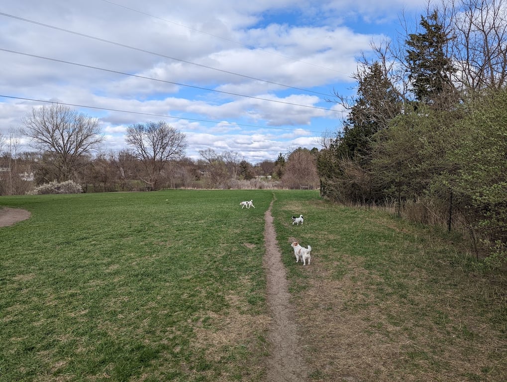 Rickman’s Run at Holmes Lake Park