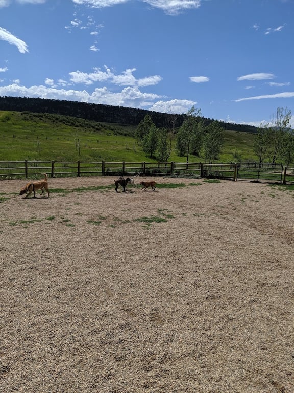 Spring Canyon Dog Park