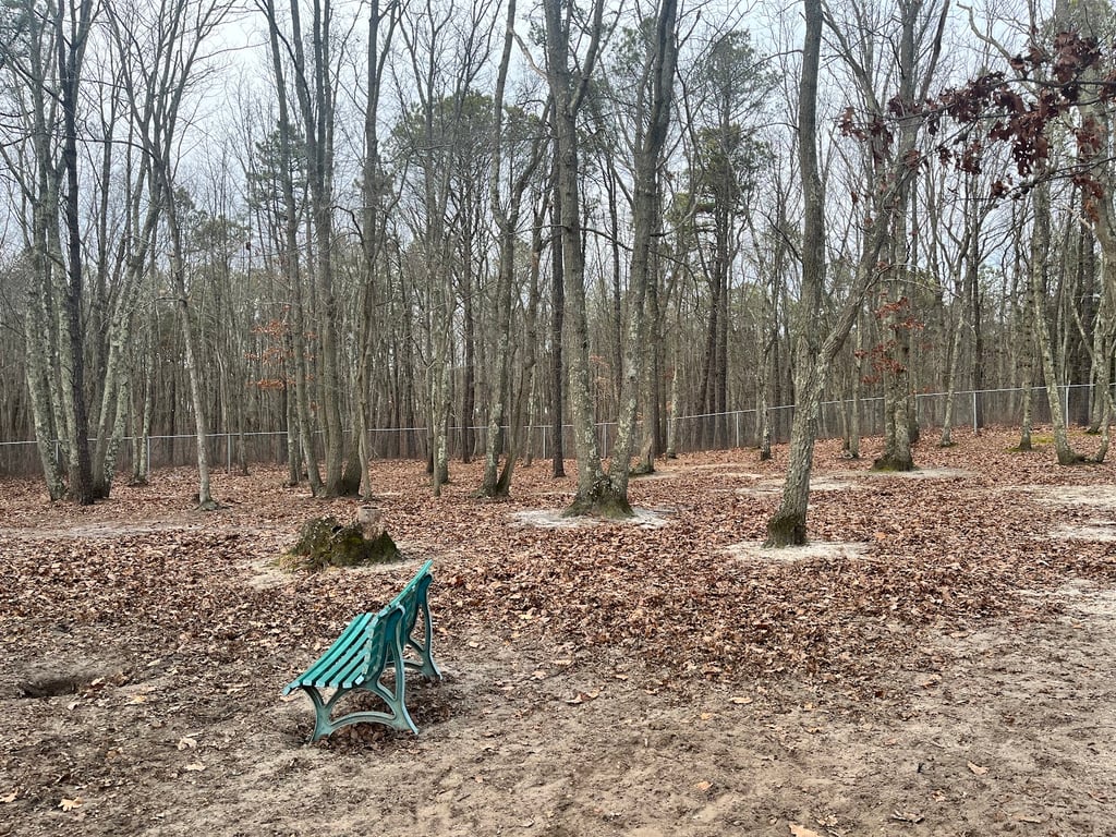 Bark Park Off Leash Dog Park