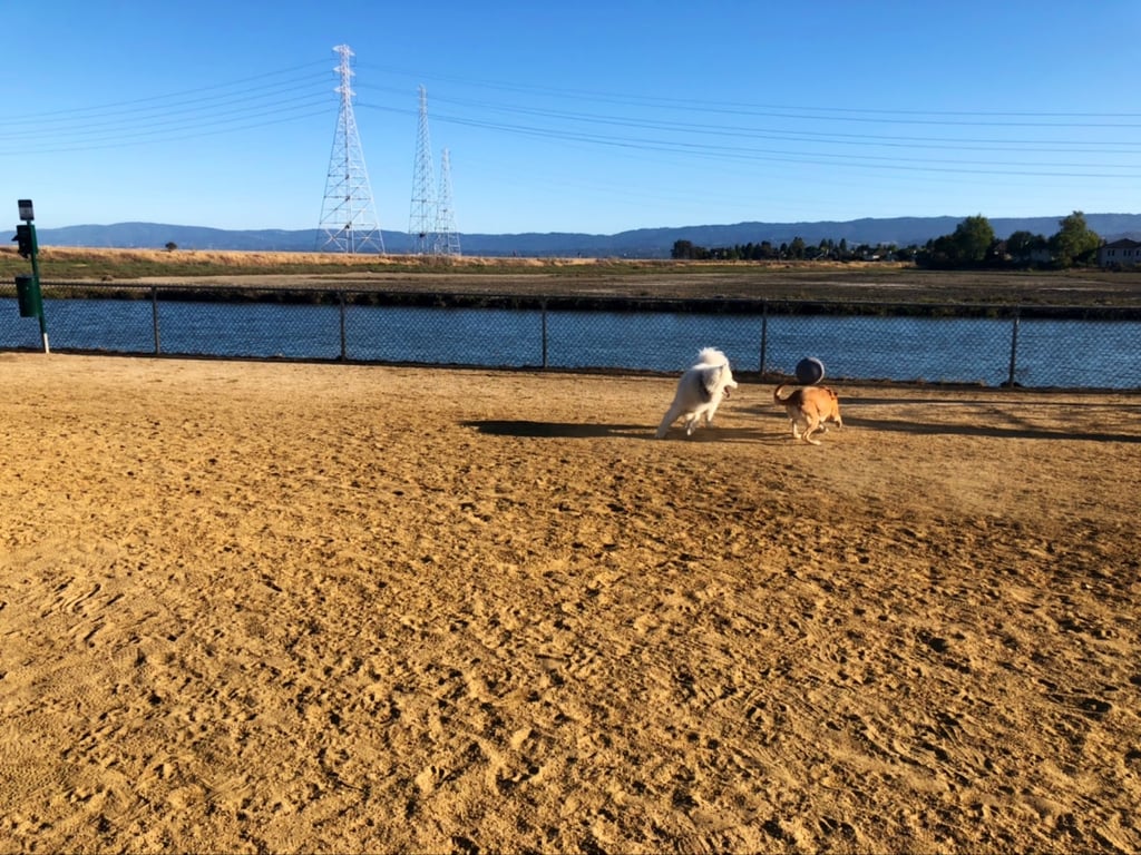 Shore Dogs Park