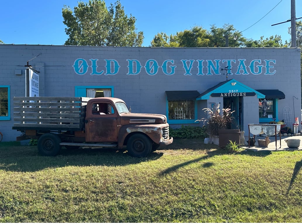 Photo of Old Dog Vintage