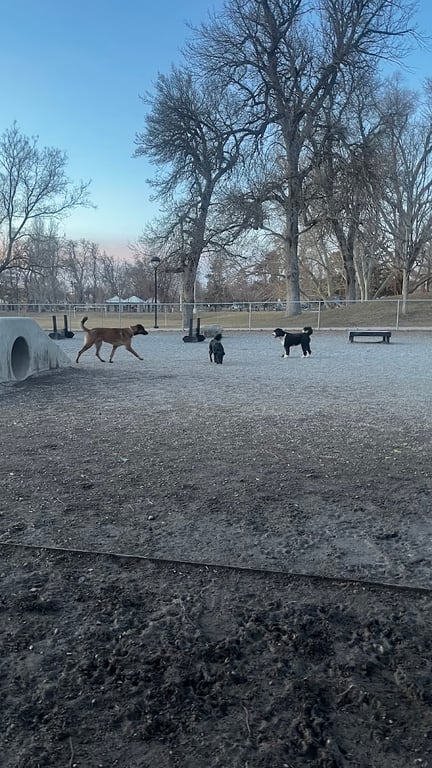 Fairmont Dog Park