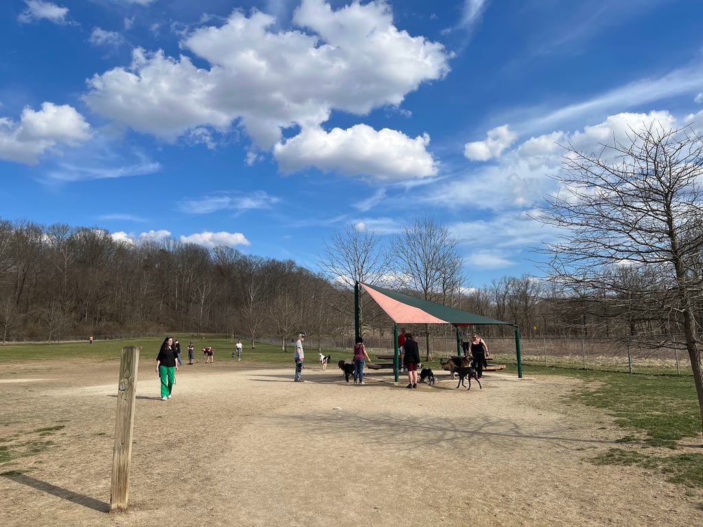 Ferguson Dog Park