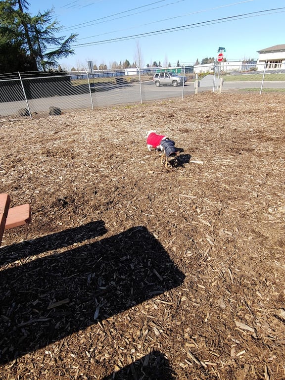 Riverside Dog Park